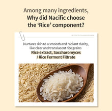 Load image into Gallery viewer, NACIFIC Rice Pepta Collagen Gel Facial Mask (Rice Peptide)
