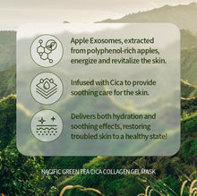 Load image into Gallery viewer, NACIFIC Rice Pepta Collagen Gel Facial Mask (Green Tea Cica)

